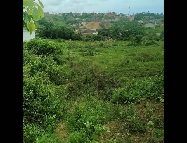 LAND FOR SALE IN LOVU